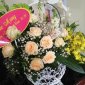 HỘI DIỄN VĂN NGHỆ VÀ CHƯƠNG TRÌNH TRÌNH DIỄN ÁO DÀI CHÀO MỪNG NGÀY PNVN 20/10